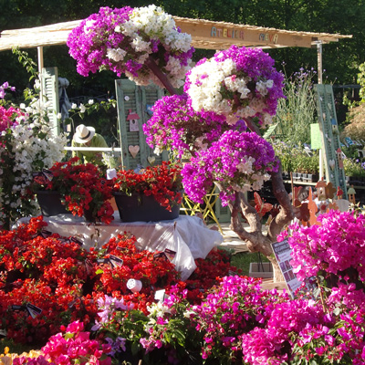 Stand Tijardin aux journées des plantes d'Albertas